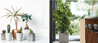 Mooie pot voor je plant kopen? | Bestel op Tuincentrumoutlet.com