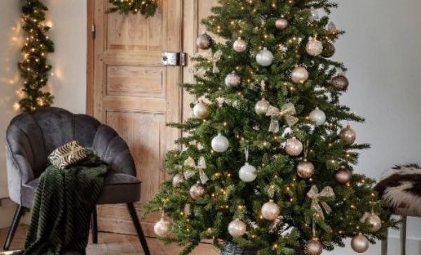 Kerstbomen