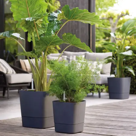 Iedere plant verdient een pot