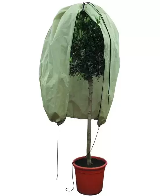 Plantbescherming