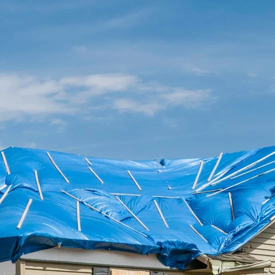AFDEKZEIL BLAUW  2 x 3 MTR 80 GR/M², Verbo, tuincentrumoutelt.com