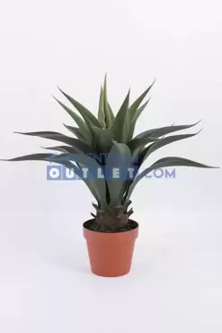 agave i pot 1, noach, tuincentrumoutlet