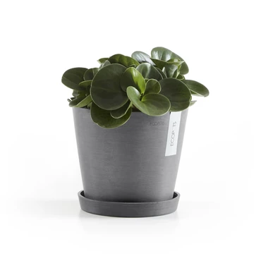 Amsterdam 18 Grijs sfeer met onderschotel, Ecopots, tuincentrumoutlet.com