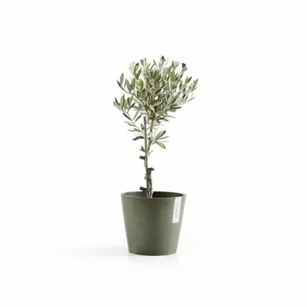 Amsterdam 18 Kaki plant, Ecopots, Tuincentrumoutlet.com
