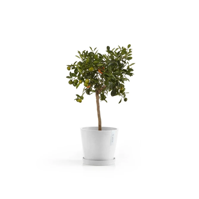 Amsterdam 18 Wit sfeerbeeld met onderschotel, Ecopots, tuincentrumoutlet.com
