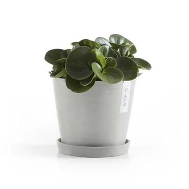 Amsterdam 18 Witgrijs sfeer met onderschotel, Ecopots, tuincentrumoutlet.com