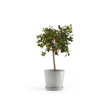 Amsterdam 18 Witgrijs sfeerbeeld met onderschotel, Ecopots, tuincentrumoutlet.com