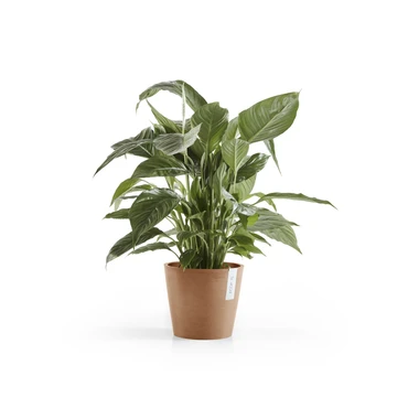 Amsterdam 20 Terra sfeer, Ecopots, tuincentrumoutlet.com