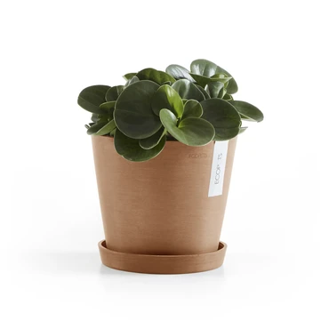 Amsterdam 20 Terra sfeer met onderschotel, Ecopots, tuincentrumoutlet.com