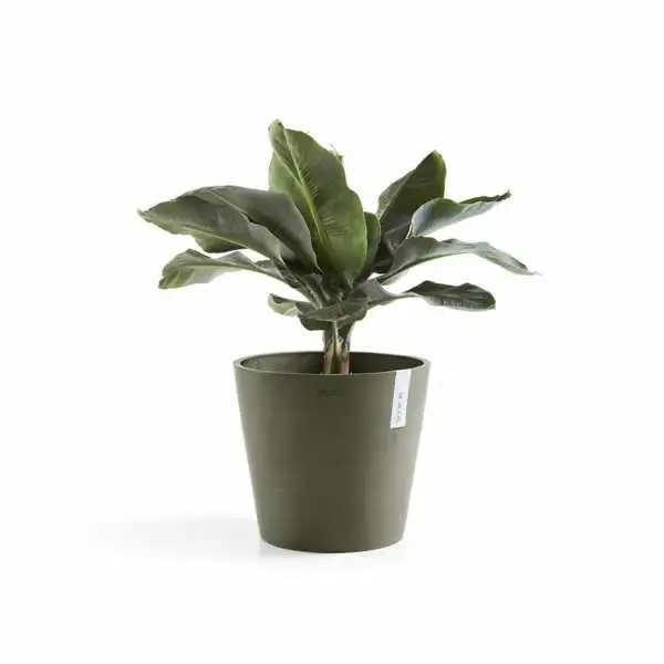 Amsterdam 25 Kaki plant, Ecopots, Tuincentrumoutlet.com