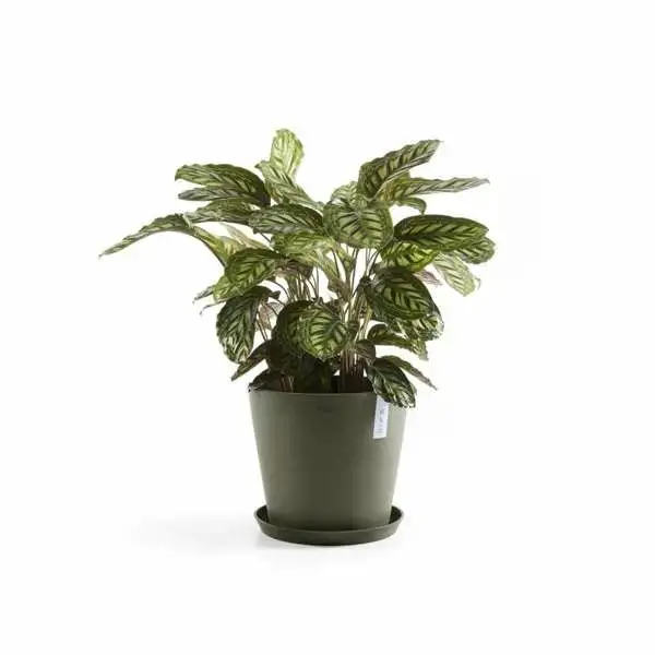 Amsterdam 25 Kaki sfeer, Ecopots, Tuincentrumoutlet.com