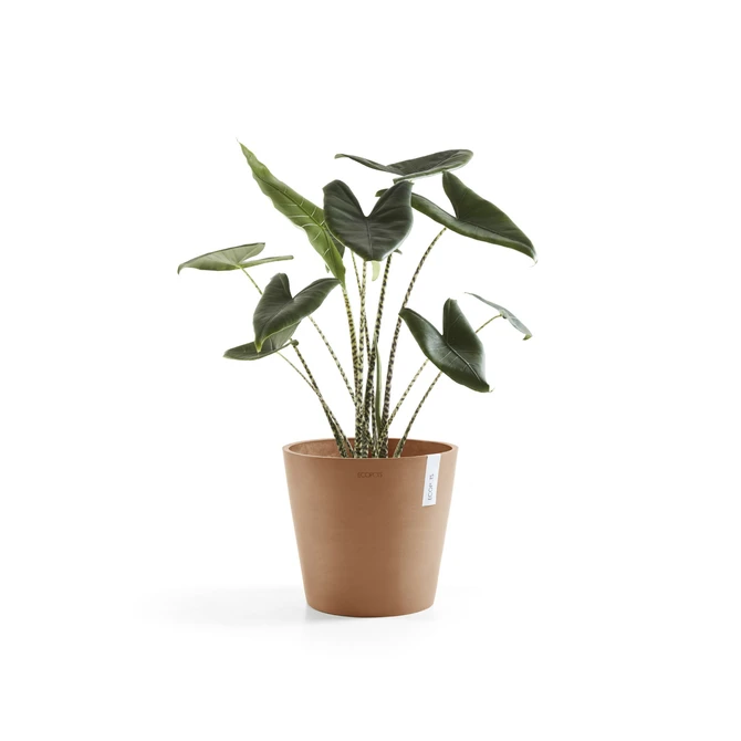 Amsterdam 30 Terra sfeer, Ecopots, tuincentrumoutlet.com