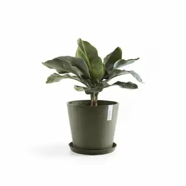 Amsterdam 40 Kaki plant sfeer, Ecopots, Tuincentrumoutlet.com