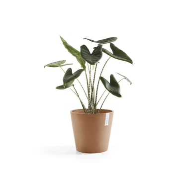Amsterdam 40 Terra sfeer, Ecopots, tuincentrumoutlet.com