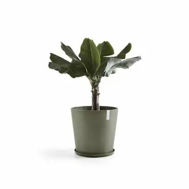 Amsterdam 50 Kaki sfeer, Ecopots, Tuincentrumoutlet.com