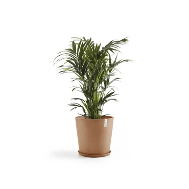 Amsterdam 50 Terra sfeer met onderschotel, Ecopots, tuincentrumoutlet.com