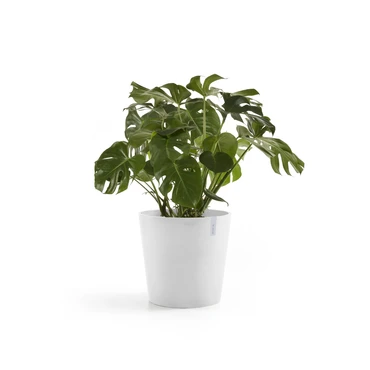 Amsterdam 60 Wit sfeer, Ecopots, tuincentrumoutlet.com