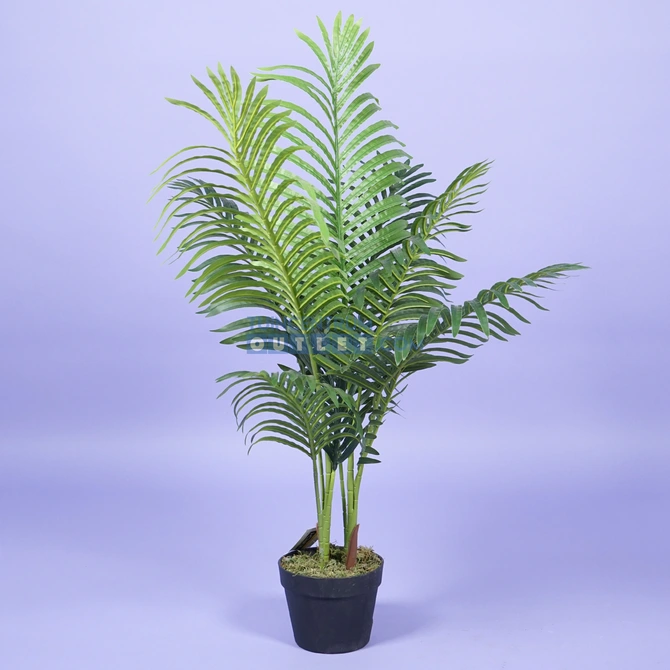 areca palm 100cm 1.1, Noach outdoor www.tuincentrumoutlet.com