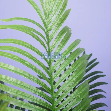 areca palm 100cm 1.2, Noach outdoor www.tuincentrumoutlet.com