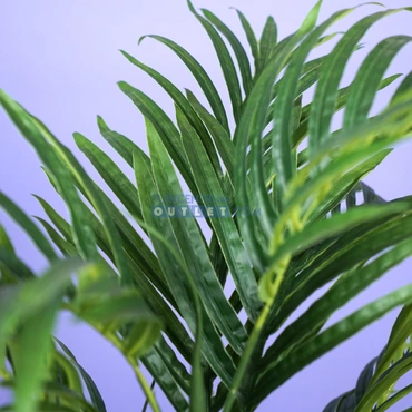 areca palm i pot 1.2, noach, tuincentrumoutlet