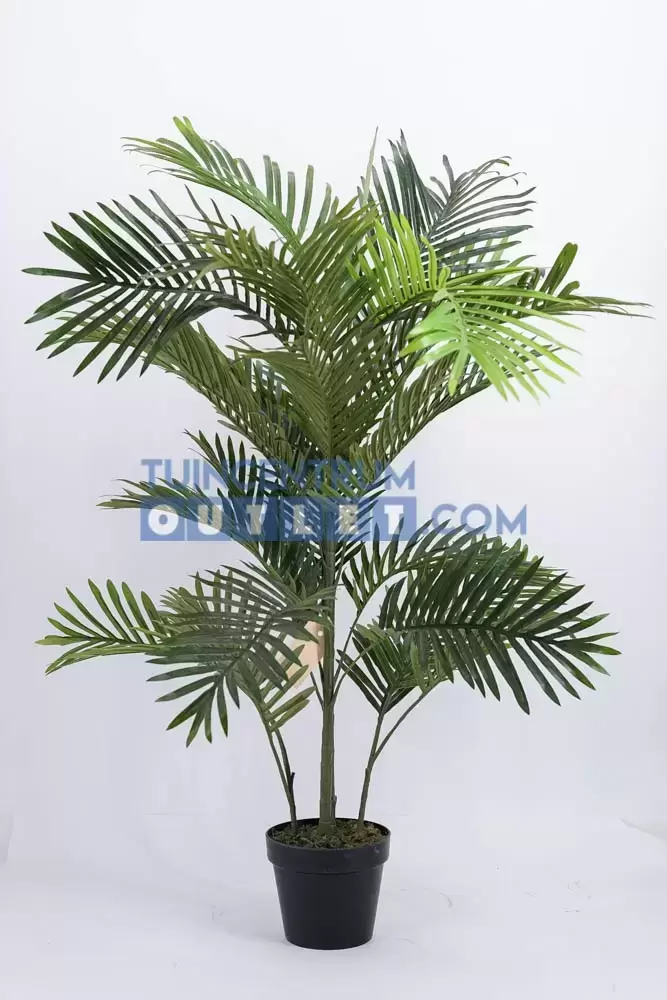 Areca palm - 120 cm