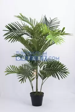 Areca palm - 120 cm - afbeelding 3