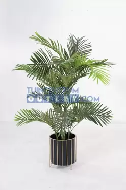 areca palm i pot h120cm groen, noach, tuincentrumoutlet