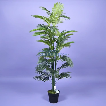 areca palm i pot groot 1,1, noach, tuincentrumoutlet