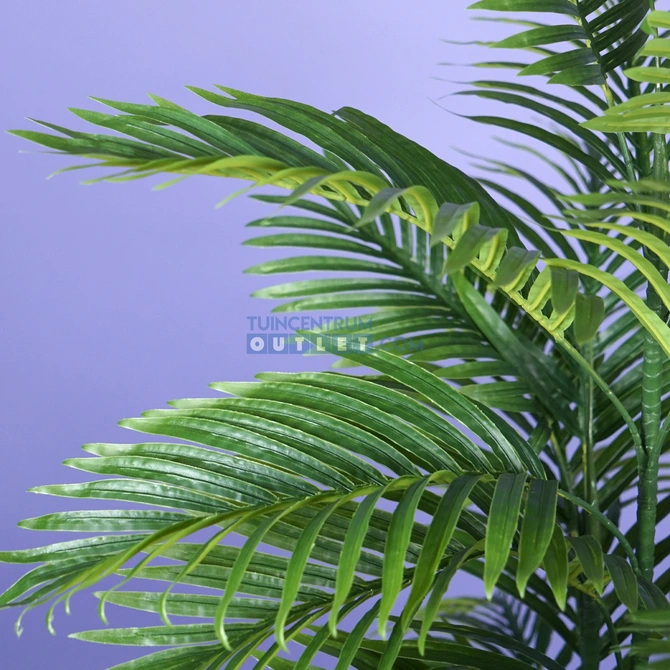 areca palm i pot groot 1,2, noach, tuincentrumoutlet