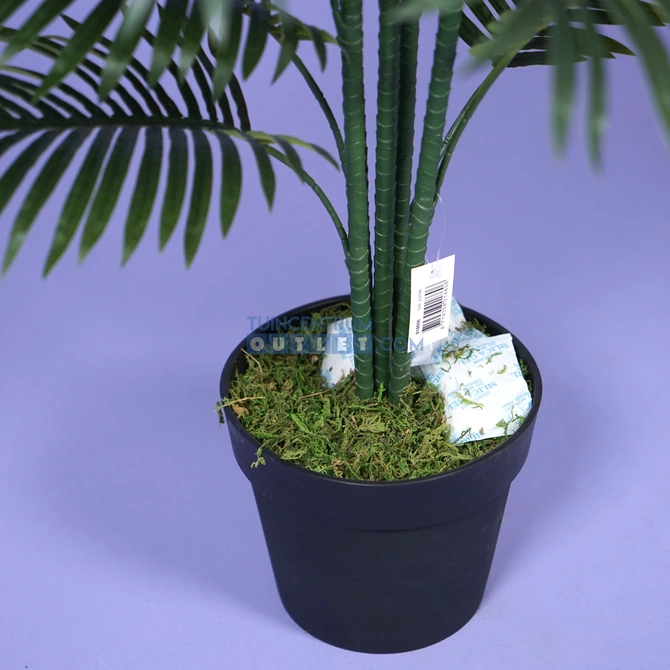 areca palm i pot groot 1,3, noach, tuincentrumoutlet