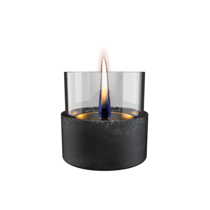 Aster Lava Black, Tenderflame, tuincentrumoutlet.com