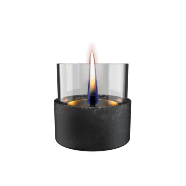 Aster Lava Black, Tenderflame, tuincentrumoutlet.com