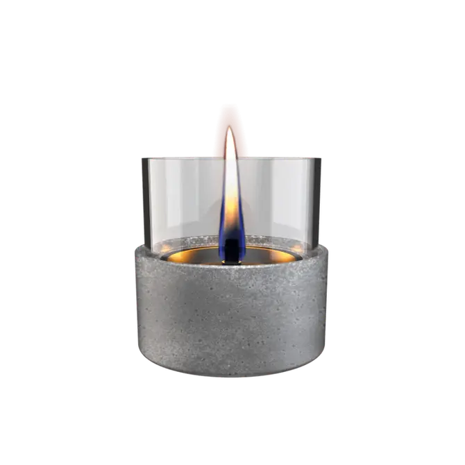 Aster Lava Grey, Tenderflame, tuincentrumoutlet.com