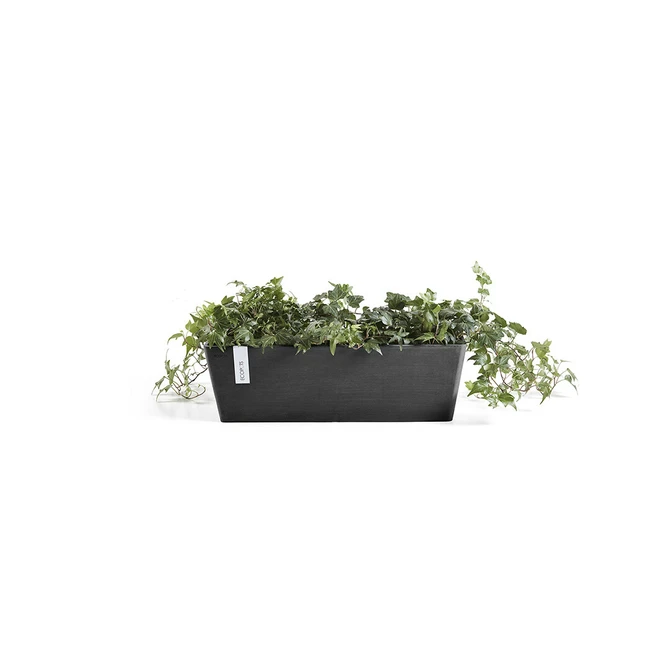 Bak bruges l65b17cm donkergrijs met plant, Ecopots, tuincentrumoutlet.com
