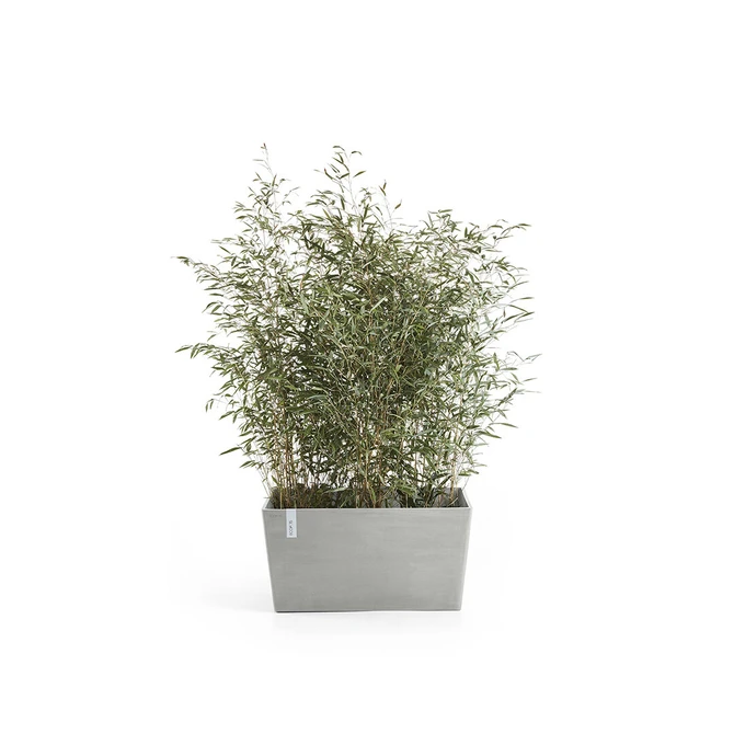 Bak paris l60b26h40cm witgrijs met plant, Ecopots, tuincentrumoutlet.com