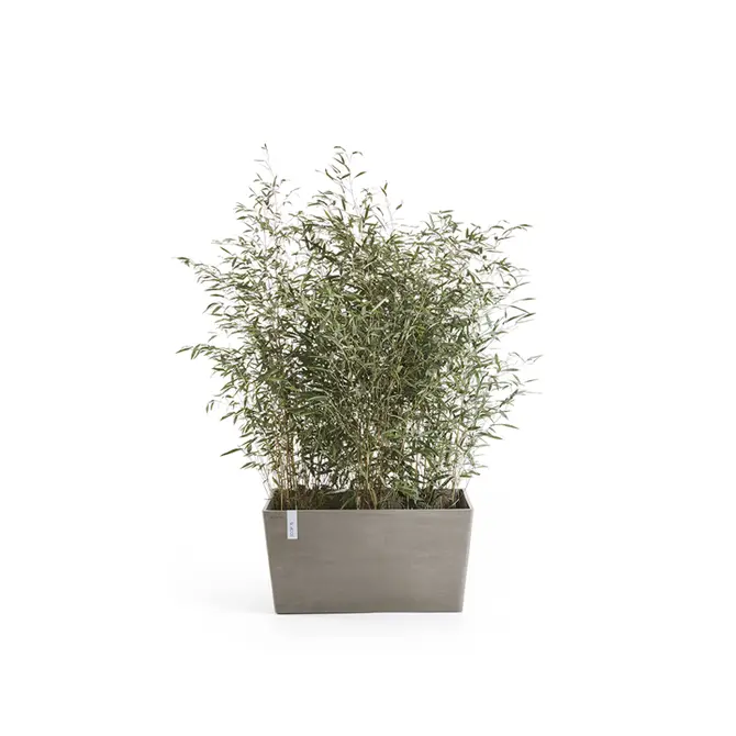 Bak paris l80b25h40cm taupe sfeer, Ecopots, tuincentrumoutlet.com