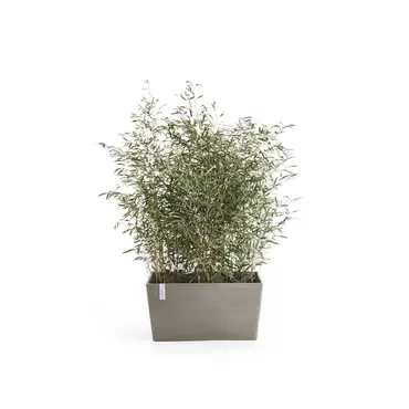 Bak paris l80b25h40cm taupe sfeer, Ecopots, tuincentrumoutlet.com