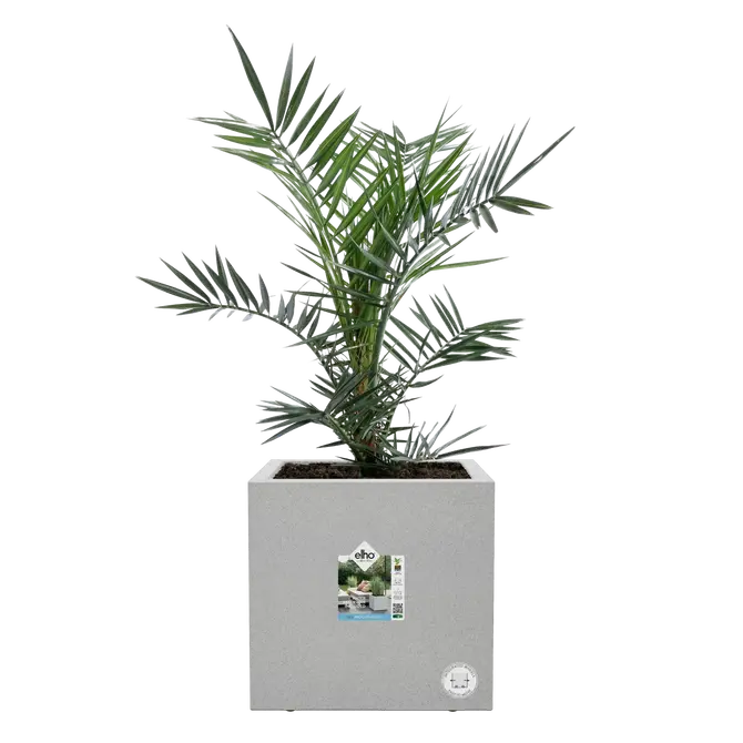 Bak vivo next l30cm grijs, Elho, tuincentrumoutlet