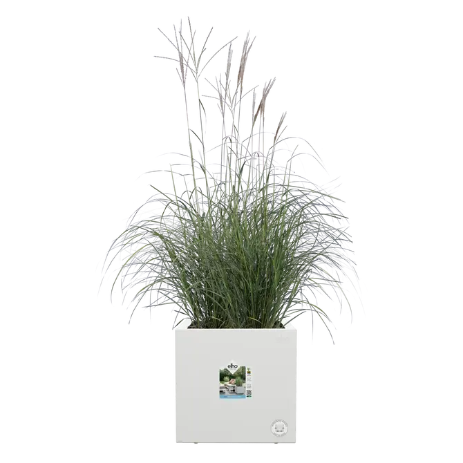 Bak vivo next l30cm wit, Elho, tuincentrumoutlet