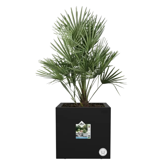 Bak vivo next l30cm zwart, Elho, tuincentrumoutlet