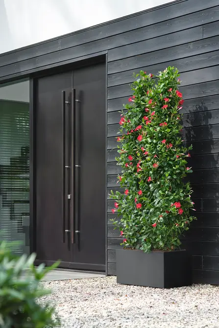 Bak vivo next l60cm zwart sfeer, Elho, tuincentrumoutlet