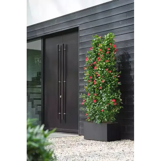 Bak vivo next l80cm zwart sfeer, Elho, tuincentrumoutlet