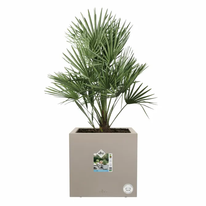 Bak vivo next vk l40cm paddenstoel beige sfeer, Elho, tuincentrumoutlet.com