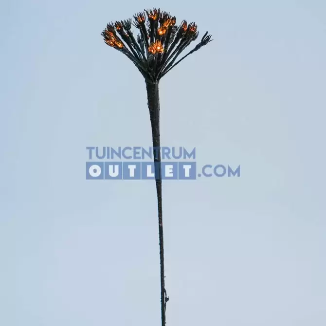 BERENKLAUW 25LED BRUIN, tuincentrumoutlet.com