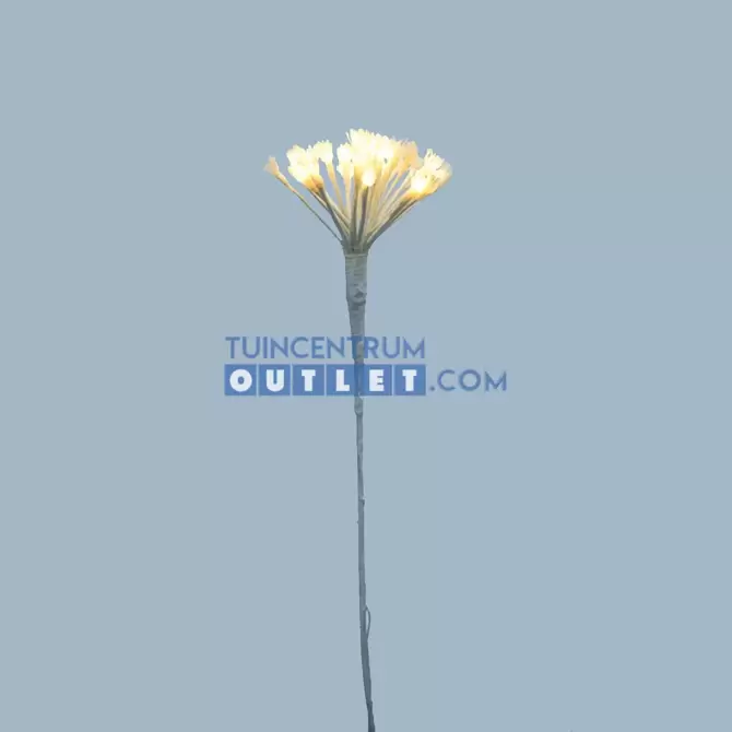 BERENKLAUW 25LED WIT, tuincentrumoutlet.com