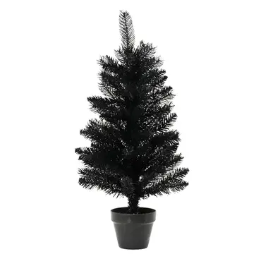 Berlin mini boom d35h60cm zwart, Everlands, tuincentrumoutlet