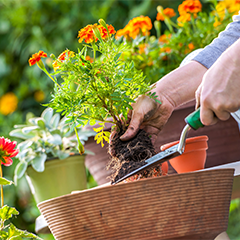 Bestrijdingsmiddelen