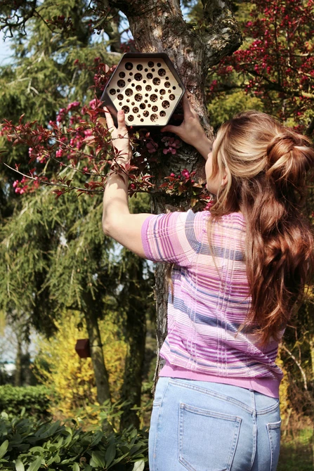 Bijenhotel Hive 23x19x20 Antraciet - Sfeerbeeld 3, Capi Europe, Tuincentrum Outlet