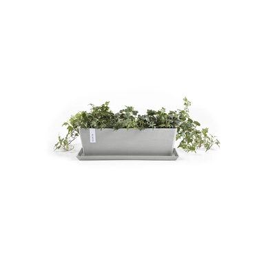 Bak bruges witgrijs l55b17h17cm met onderschotel en plant, Ecopots, tuincentrumoutlet