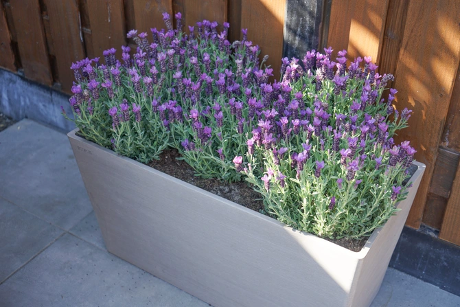 Bloembak Paris 80 cm Wit Grijs Lichtgrijs Ecopots - afbeelding 4